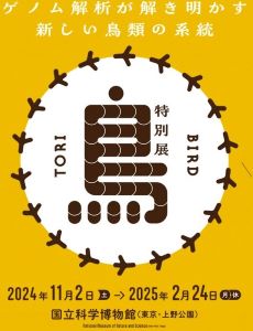 (2024~ ʓWuv)